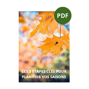 Couverture d'un PDF intitulé 'Les 3 étapes clés pour planifier vos saisons', avec une image de feuilles d'automne en arrière-plan.